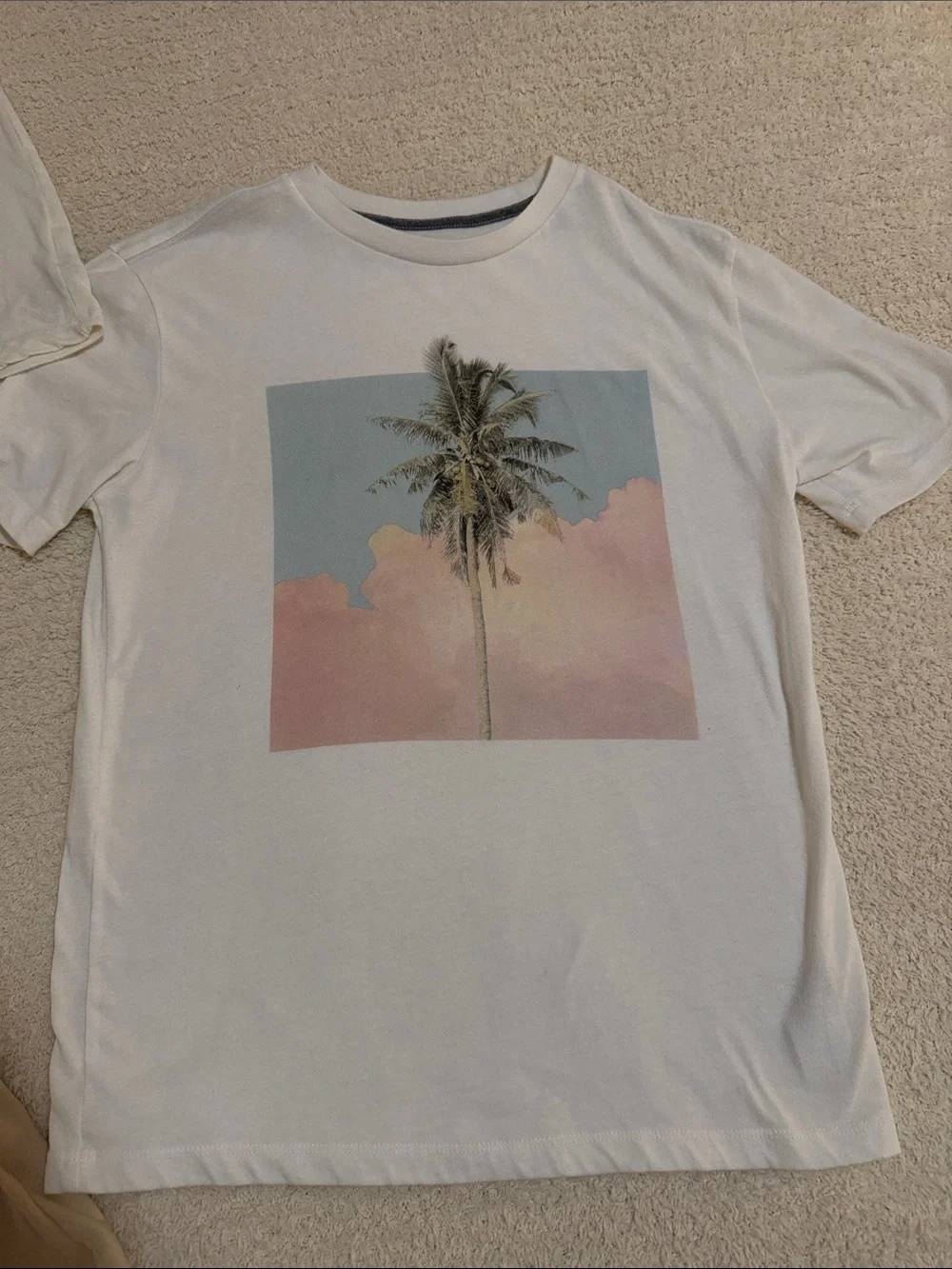 Old Navy Beige Palm Graphic Tee with Orange Sun